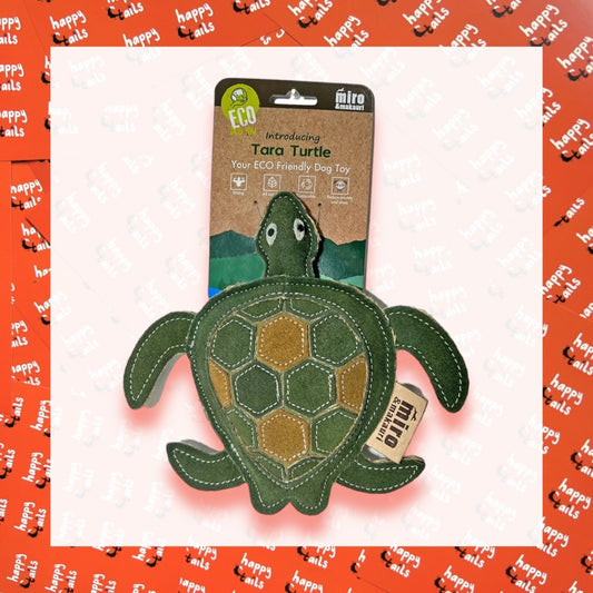 Tara Turtle - Eco Toy