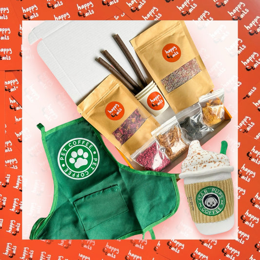 Puppacino Kits {Optional Doggy Apron & Toy}