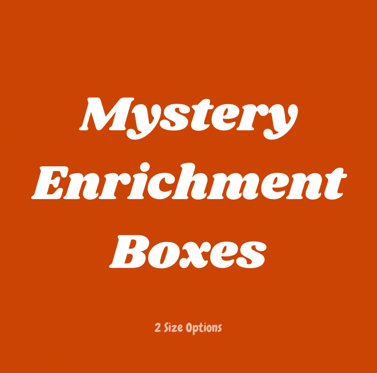 Mystery Enrichment Boxes